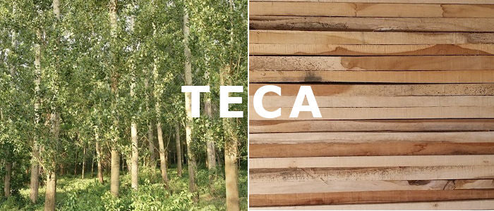 Madera de teca en forma de árbol y listones preparados
