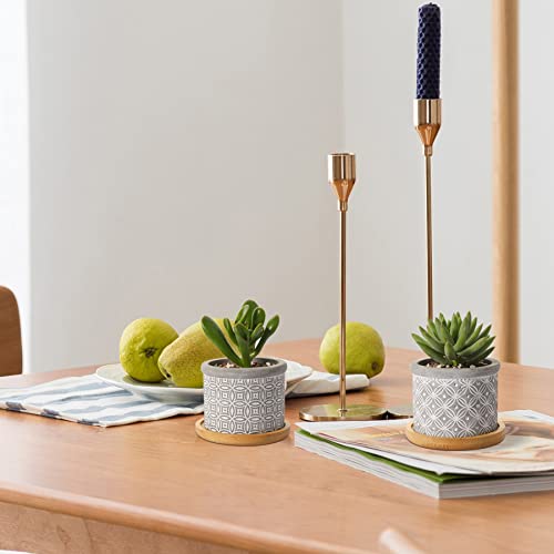 Pack de 6 Macetas para Cactus de Cemento con Plato para Plantas de Casa y Jardin T4u