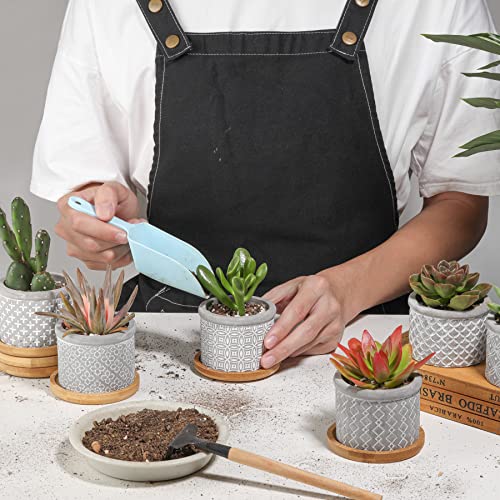 Pack de 6 Macetas para Cactus de Cemento con Plato para Plantas de Casa y Jardin T4u