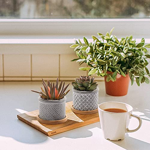Pack de 6 Macetas para Cactus de Cemento con Plato para Plantas de Casa y Jardin T4u