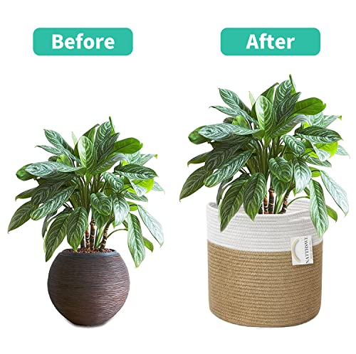 Cesta de Plantas con Forro para Macetas de Interior para Decoración Plegables de 23 cm NATTHSWE
