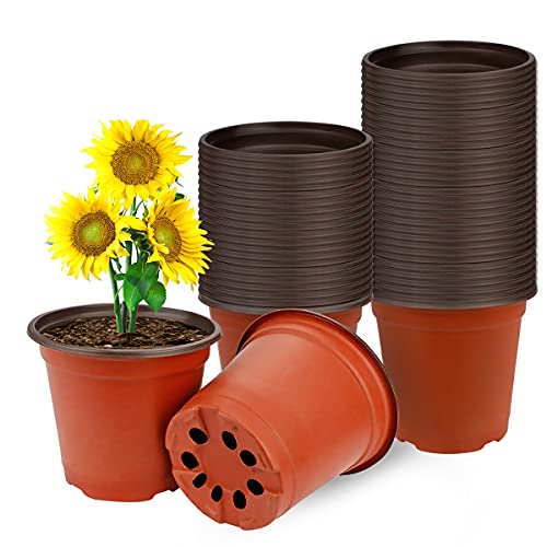 Macetas de Plastico (50 Pz) Redondas Pequeñas para Semillero de Plantas 10 x 8 cm Vockvic