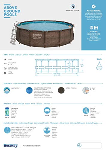 Piscina Steel Deluxe de 13.000 litros, 427 x 107 cm, Bomba de Filtro Skimatic 58462 (2.574 l/H) - detalle caracteristicas 3