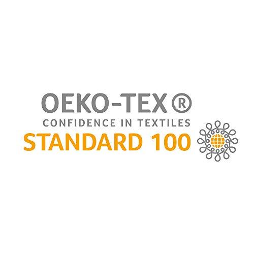 Certificado tejido OEKO-TEX de Cojines para Muebles de jardín XLuna Lounge sillas de Mimbre de Exterior Asiento Grueso Acolchado Aprox. 40x40x10 cm Gris Grafito. Certificado OEKO TEX. Beautissu | maxjardin