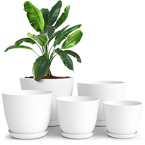 Pack de 5 macetas de plástico blancas con platos de drenaje y una planta en una de ellas sobre fondo blanco de Utopia Home