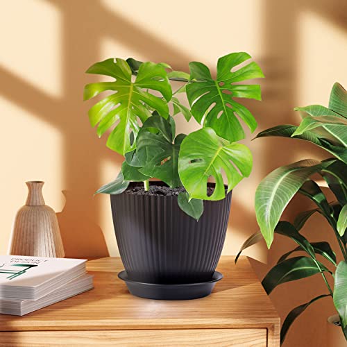 Macetas negras con plato de drenaje y planta sobre mueble en interior Warmplus
