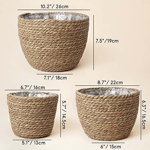Dimensiones de 3 macetas de 26, 22 y 18 cm de diámetro hechas con fibras marinas
