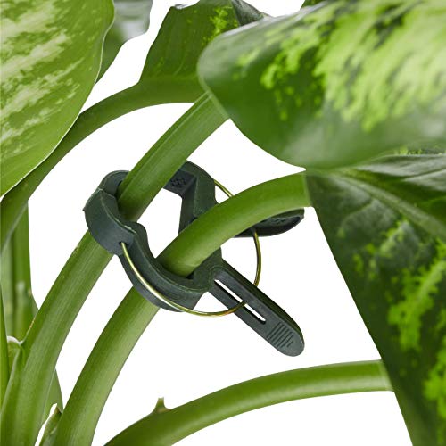 Verde Set de Soportes para Plantas, 110 Piezas, Clips, Alambre con cúter, Tutor para Rosas, Adultos Unisex, 2,00 x 8,00 x 12,30cm. Relaxdays