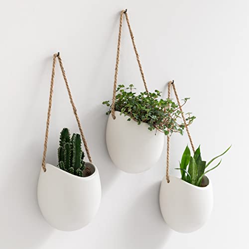 Bonito pack de 3 macetas Kazai para colgar de color blanco con plantitas sobre pared blanca