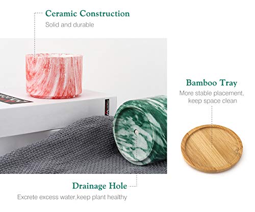 Macetas de Cerámica Multicolor para Flores y Plantas, [4 PZS / 9x9x6,5 cm] con Bandeja de Bambú para Oficina u hogar. Lewondr