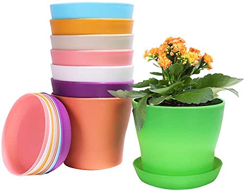 Pack de 8 macetas de colores variados con platos de drenaje apiladas KAHEIGN y una con una plantita sobre fondo blanco