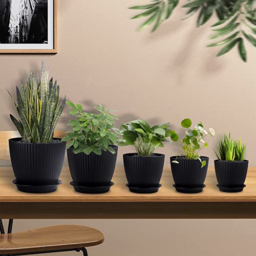 5 macetas negras de diseño con platos de drenaje y plantas en repisa en interior Warmplus