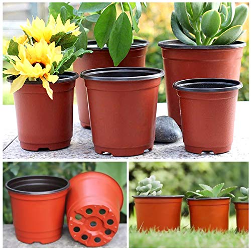 Macetas de Plastico (50 Pz) Redondas Pequeñas para Semillero de Plantas 10 x 8 cm Vockvic
