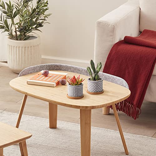 Pack de 6 Macetas para Cactus de Cemento con Plato para Plantas de Casa y Jardin T4u