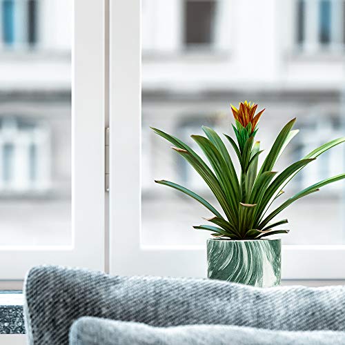 Macetas de Cerámica Multicolor para Flores y Plantas, [4 PZS / 9x9x6,5 cm] con Bandeja de Bambú para Oficina u hogar. Lewondr
