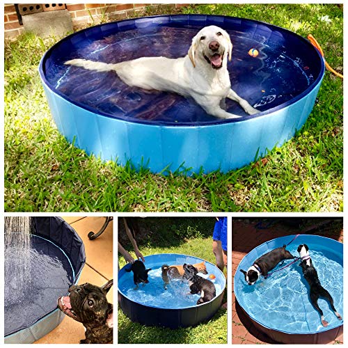 Piscina Extra Grande Infantil Ideal para Niños/Mascotas Perros 160 x 30 cm - Azul Marino y Celeste - XL - XXL. KOPEKS-ambiente-1