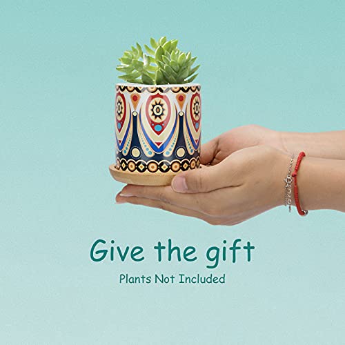 Maceta pequeña de cerámica decorada de estilo marroquí y plantita sobre fondo turquesa Warmplus sobre las manos de una modelo