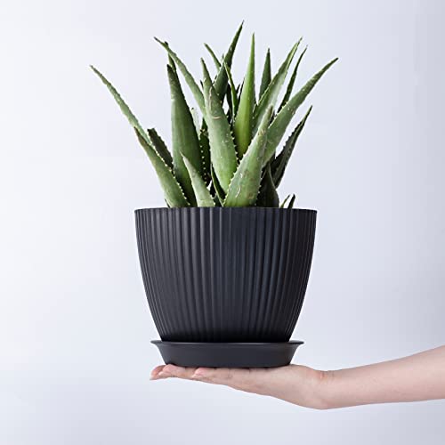Maceta negra de diseño con plato de drenaje y una planta sobre fondo blanco Warmplus