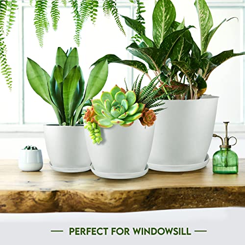 Macetas de plástico blanca con plantas en ambiente interior Utopia Home