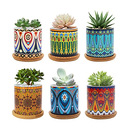 Pack de 6 macetas pequeñas de cerámica decorada con estilo marroquí y plantitas sobre fondo blanco Warmplus