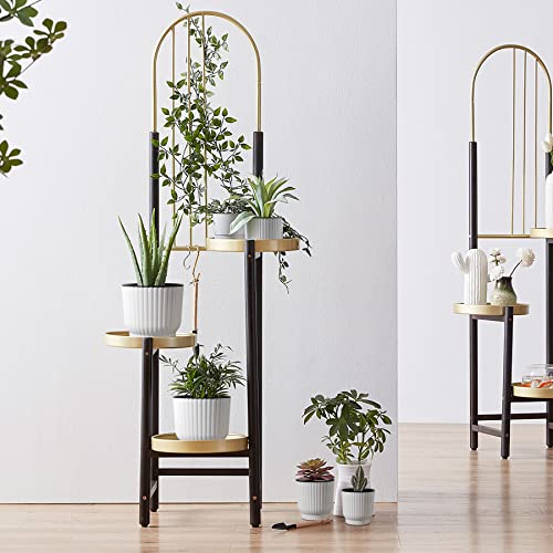 Macetas del pack con plantas en bonito expositor de interior