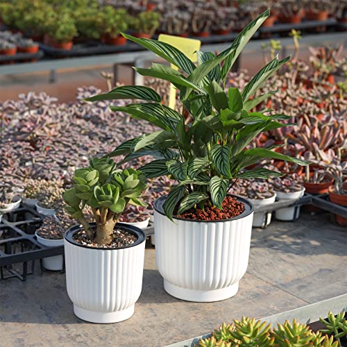 2 de 6 macetas del pack con bonitas plantas en el jardín