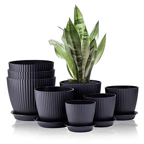 Kit de 8 macetas negras de diseño con platos de drenaje y una planta sobre fondo blanco Warmplus