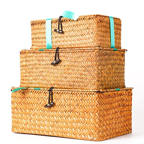 Conjunto de 3 Cestas con Tapa para Almacenamiento hecho de fibras marinas Rectangular Tejida de Ratán Natural Para Dormitorio Sala de Estar Oficina. YSGLIFE